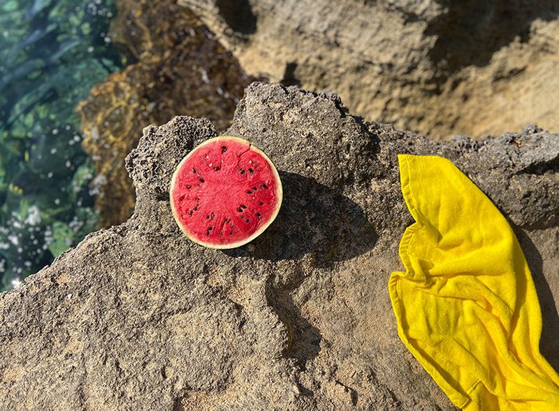 iphone11portraitfruit